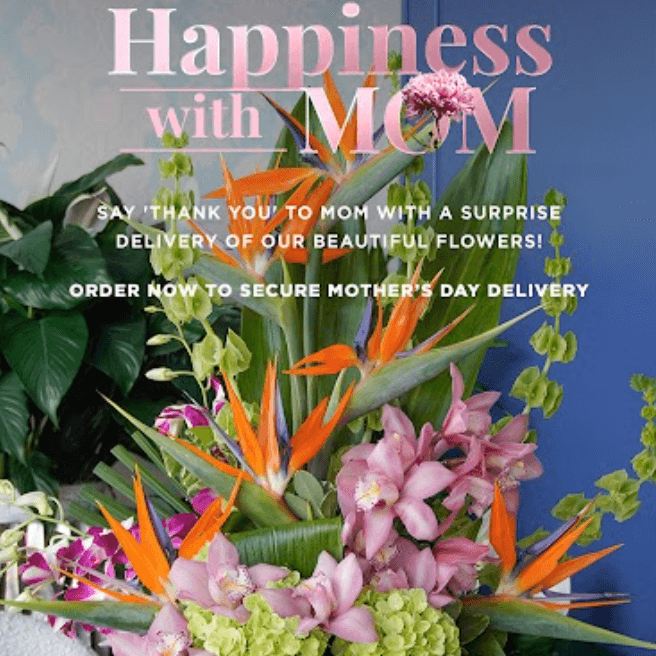 Social Media graphic for Mother's Day campaign